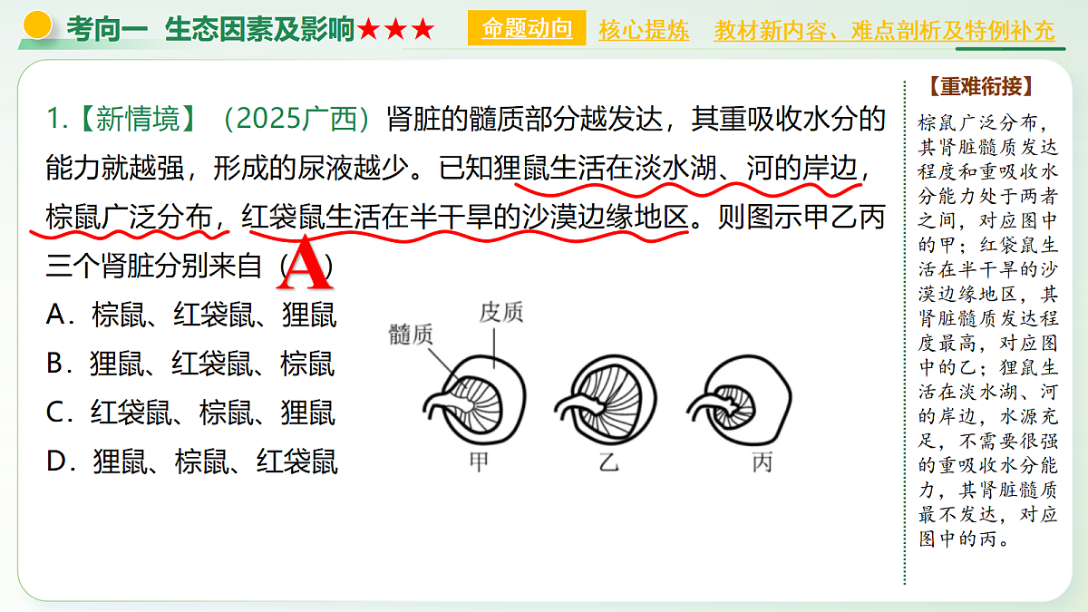 18160631第8页