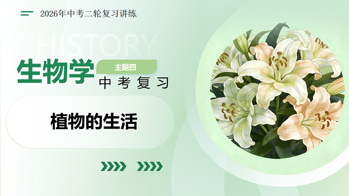18160632第1页