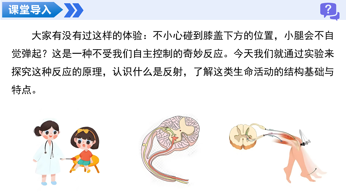 18160696第4页