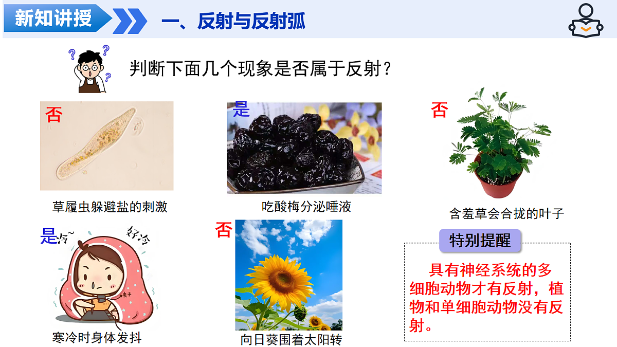 18160696第8页