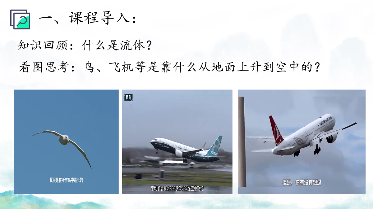 18160853第3页
