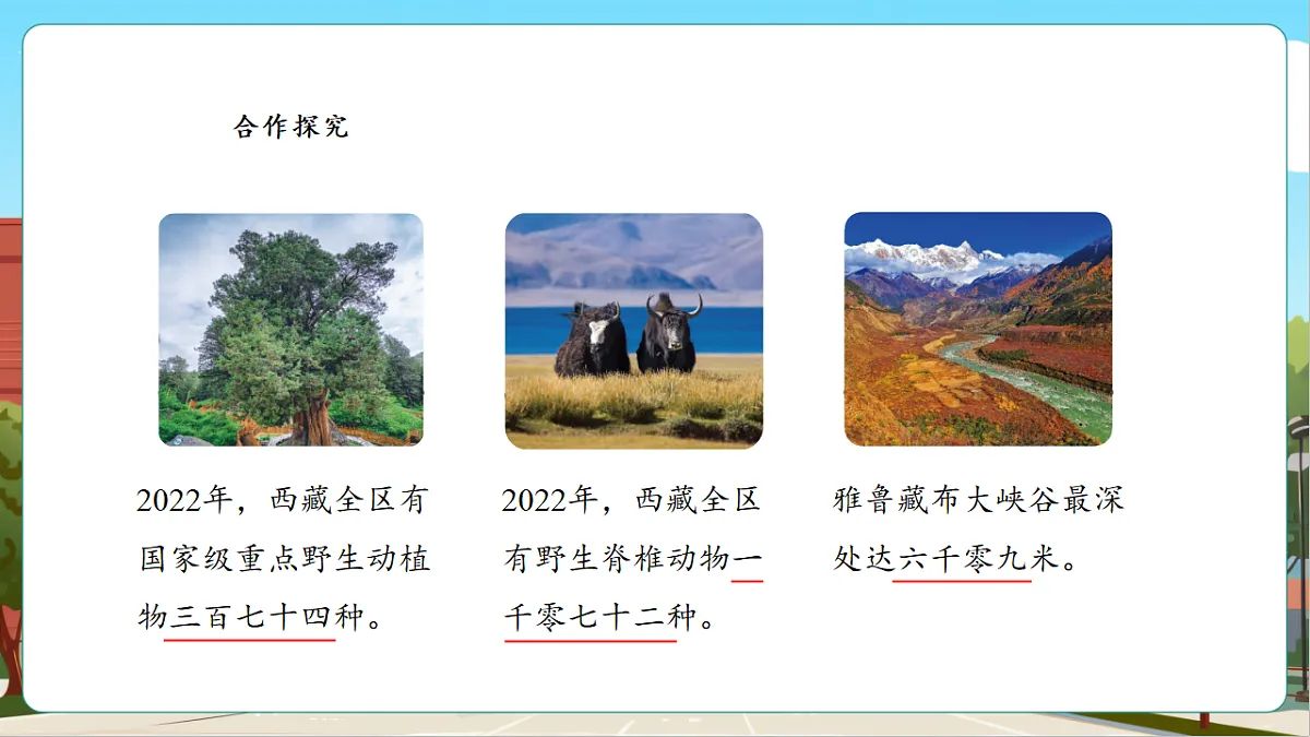 4.4《数说西藏》课件第7页
