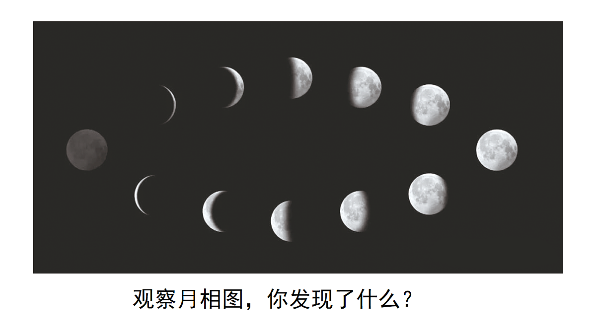 18161033第5页
