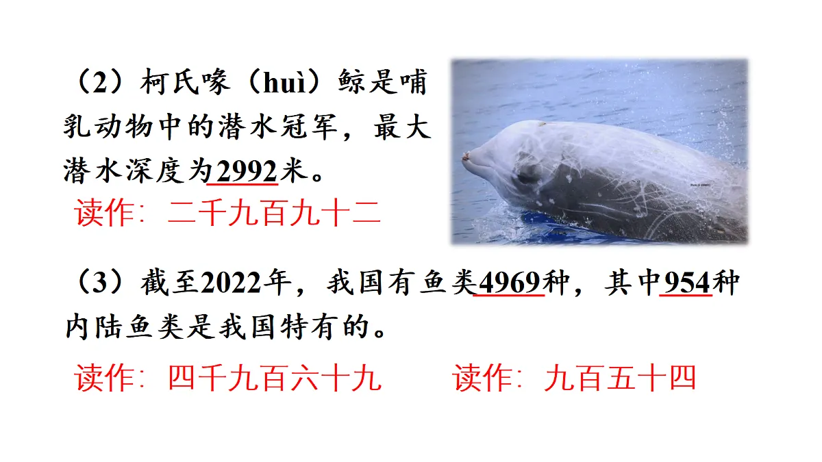 18161182第3页