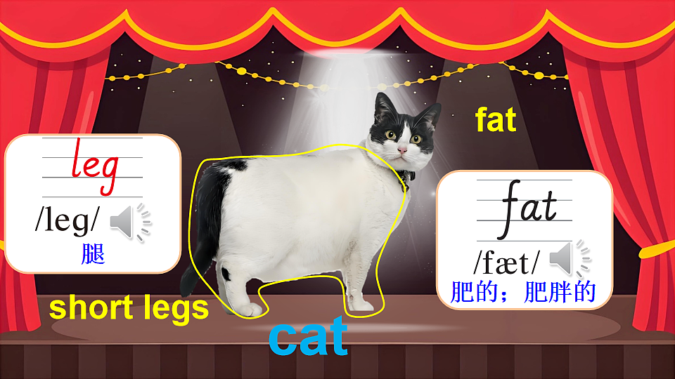 18161468第7页