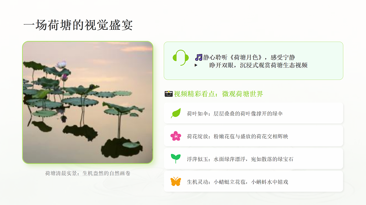 18162138第3页
