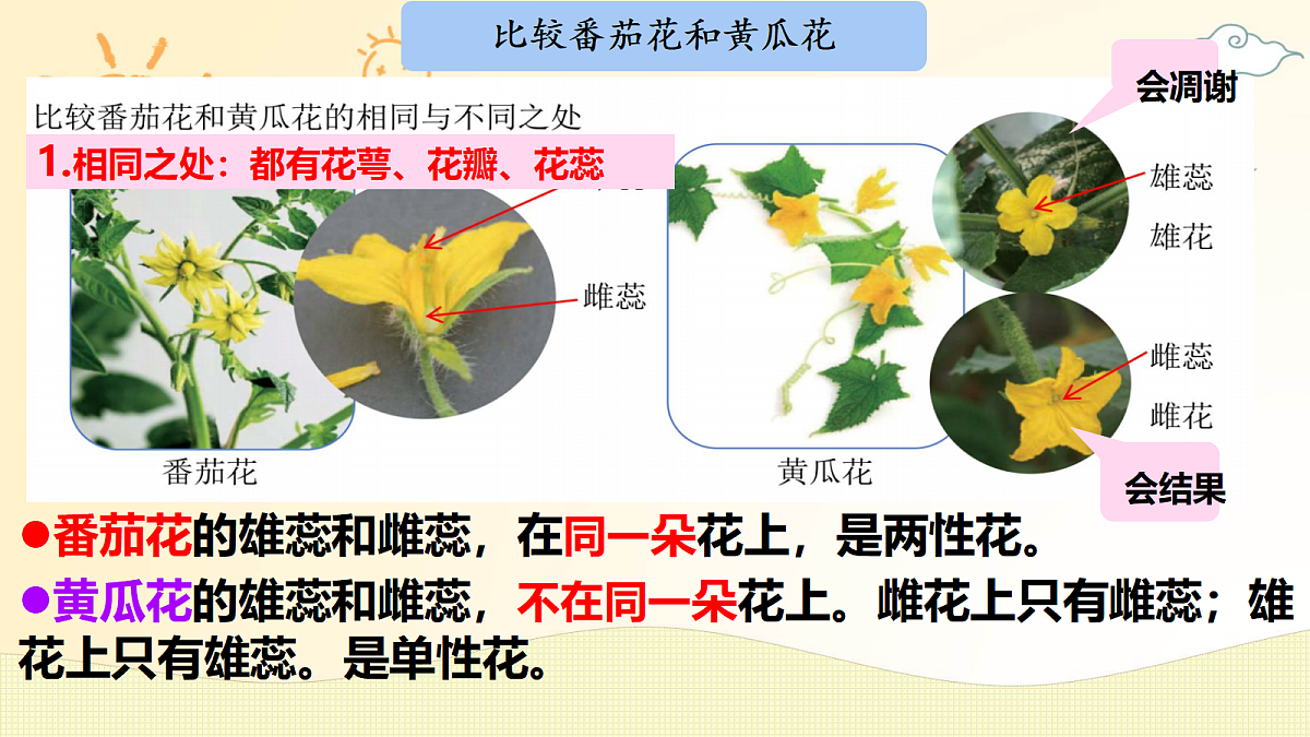 18162160第3页