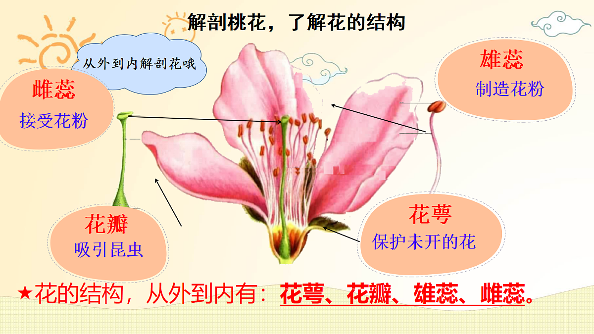 18162160第5页