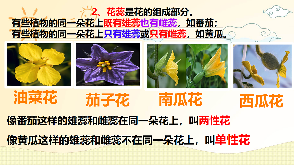 18162160第6页