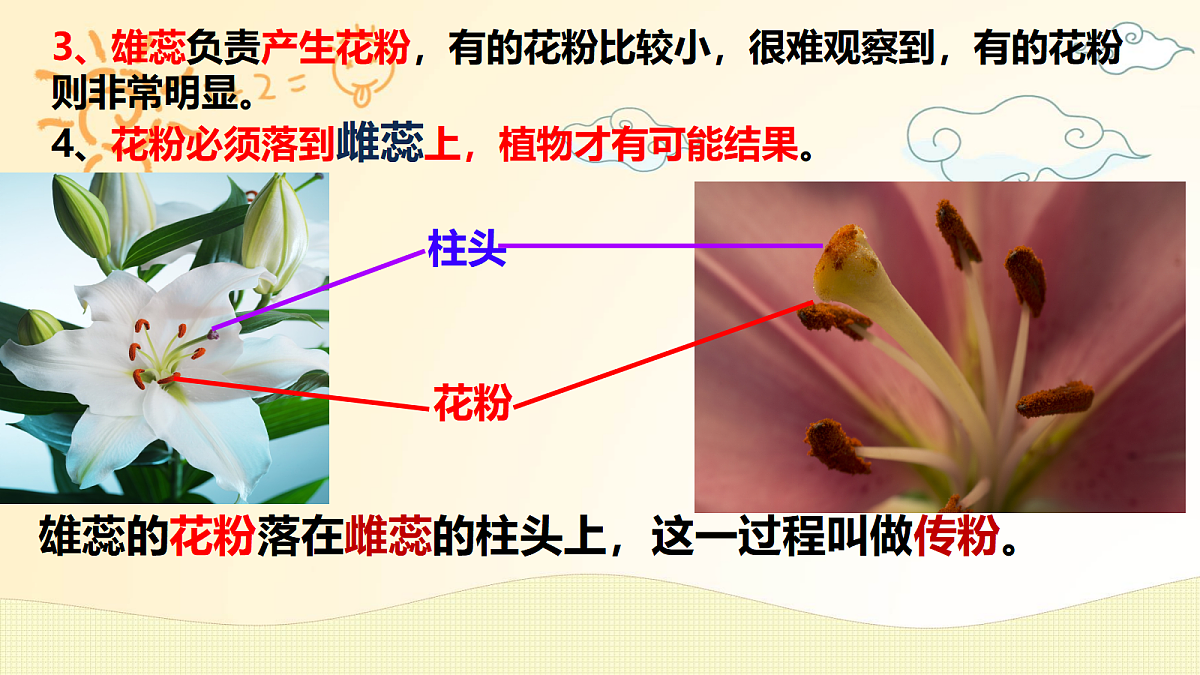 18162160第7页