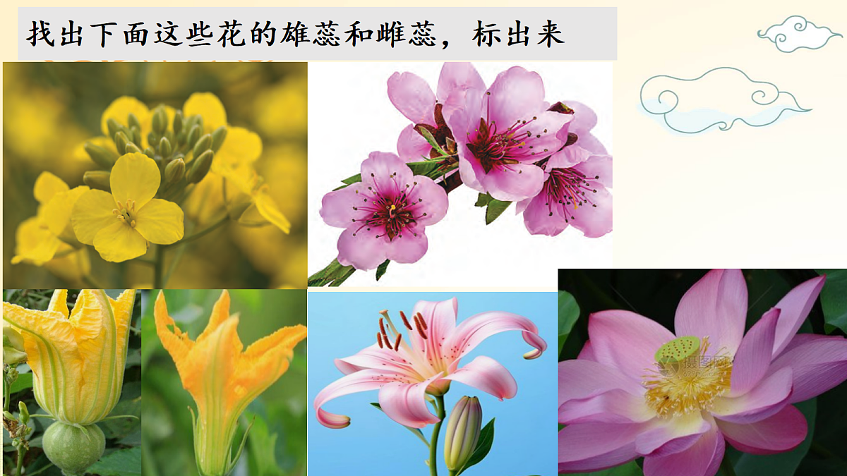 18162160第8页