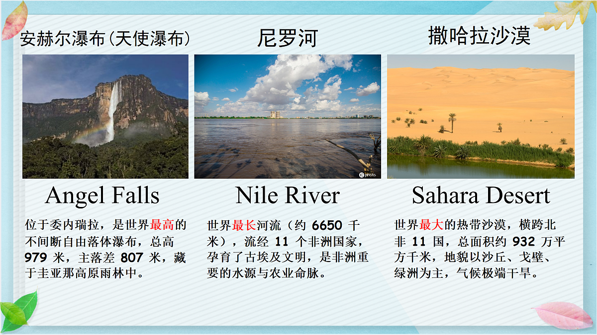18162378第4页