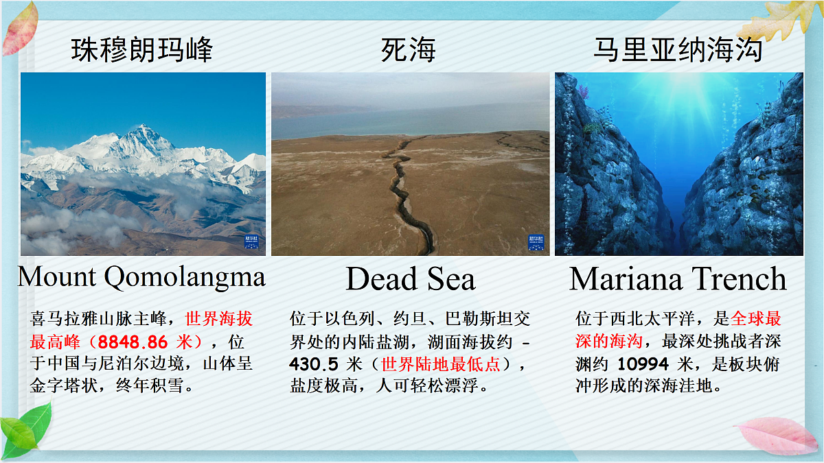 18162378第5页