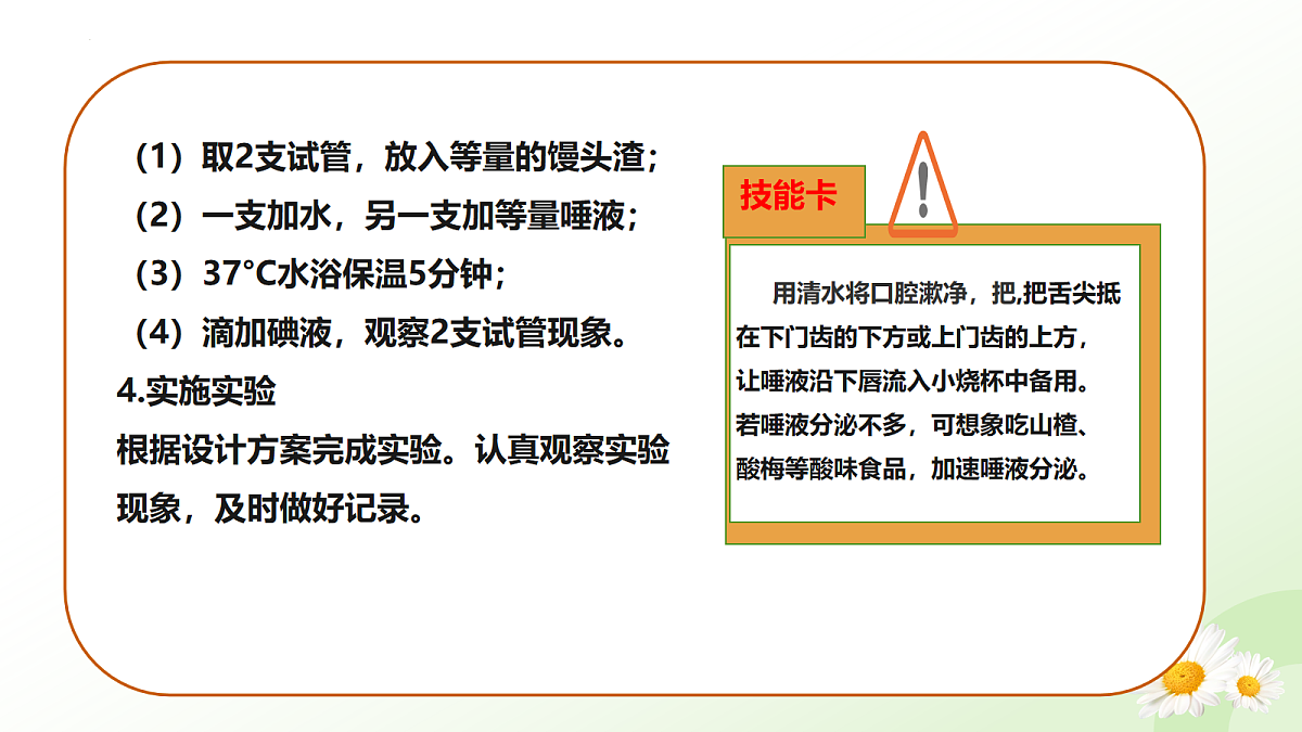 18163472第5页