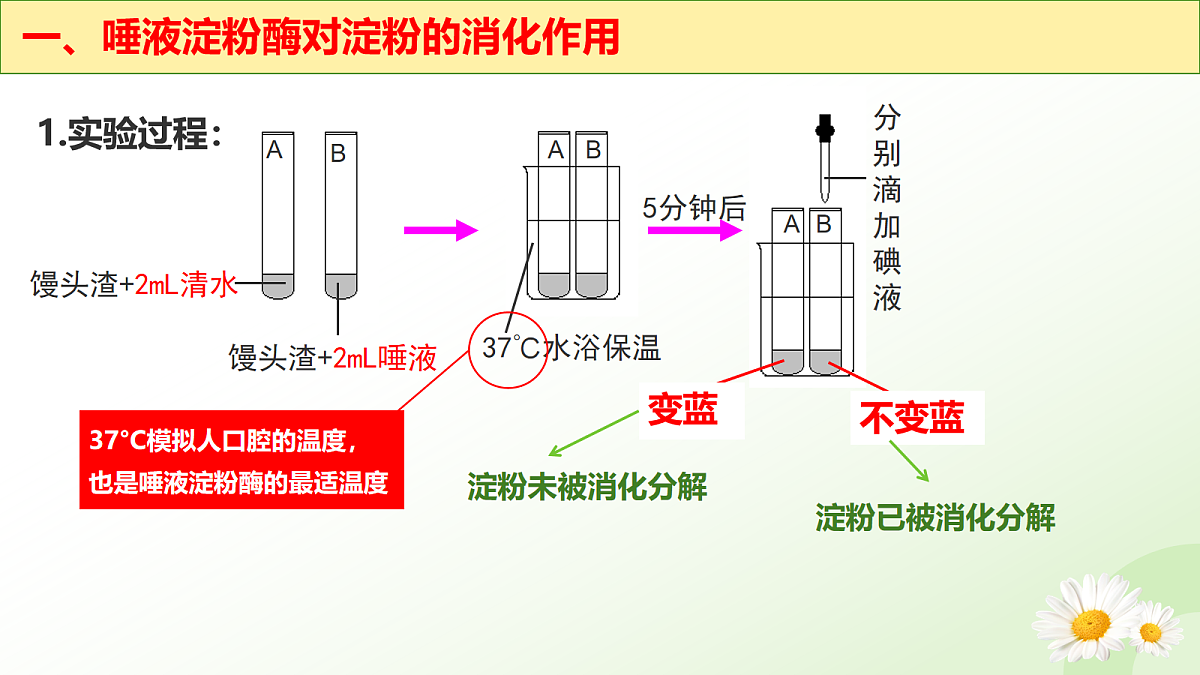 18163472第7页