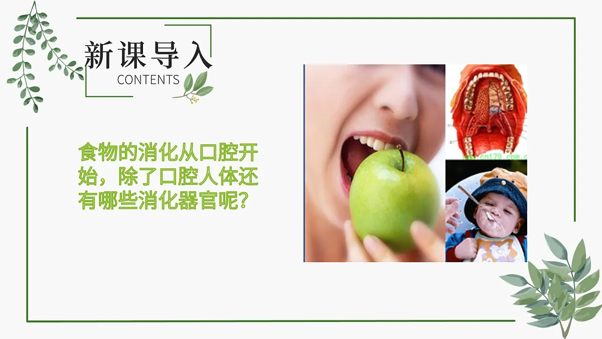 18163481第2页