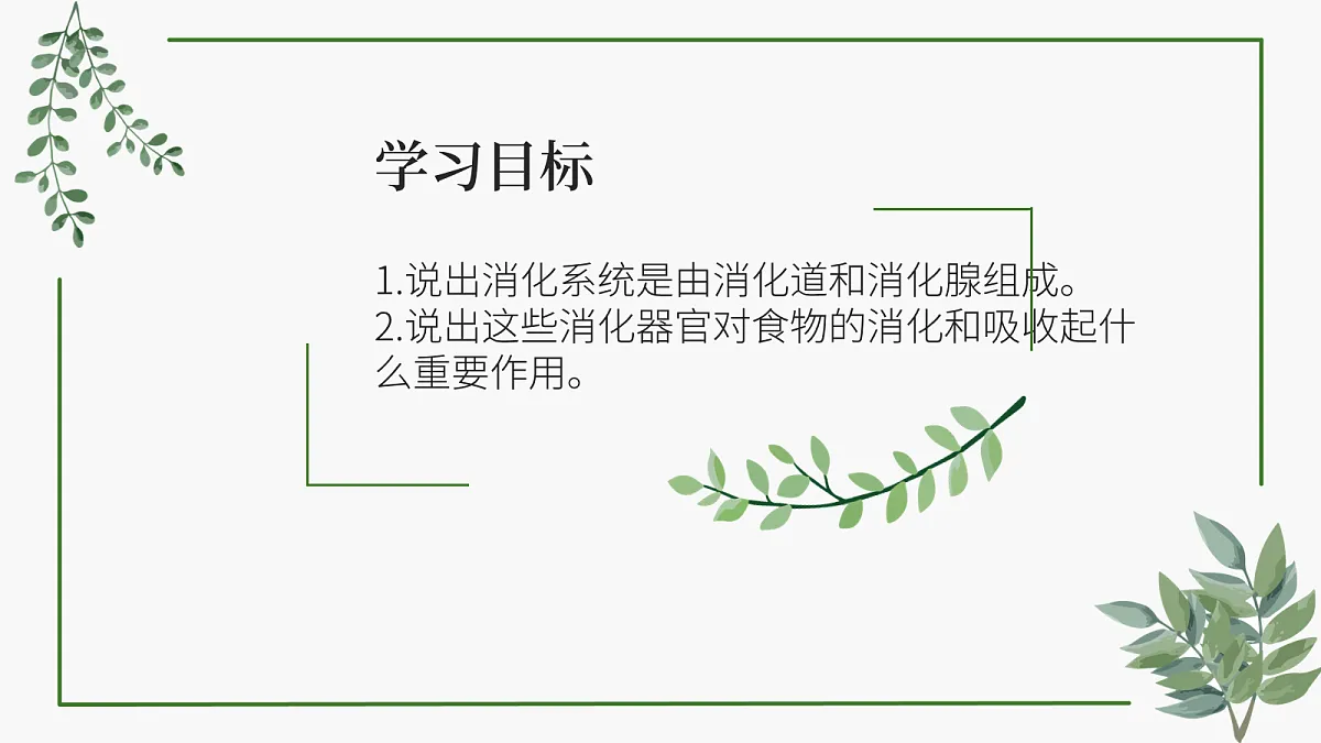 18163481第3页