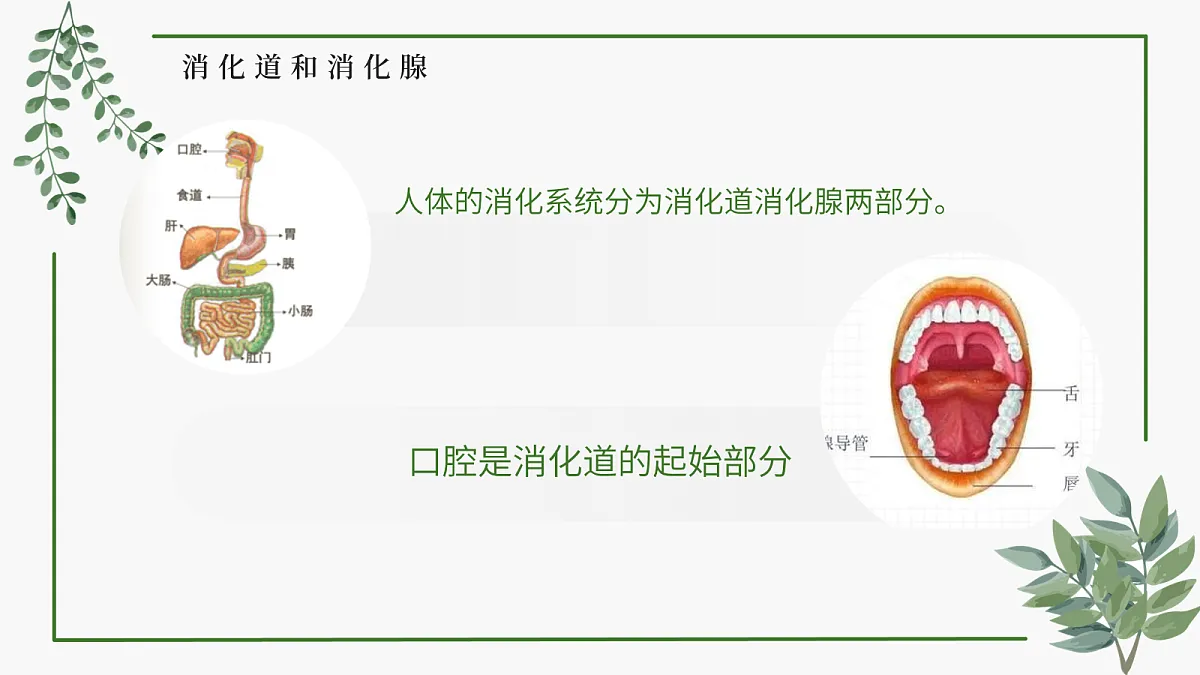 18163481第4页