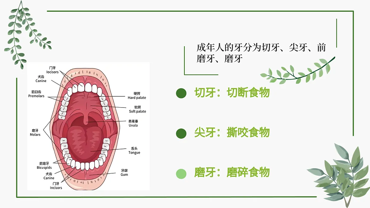 18163481第5页
