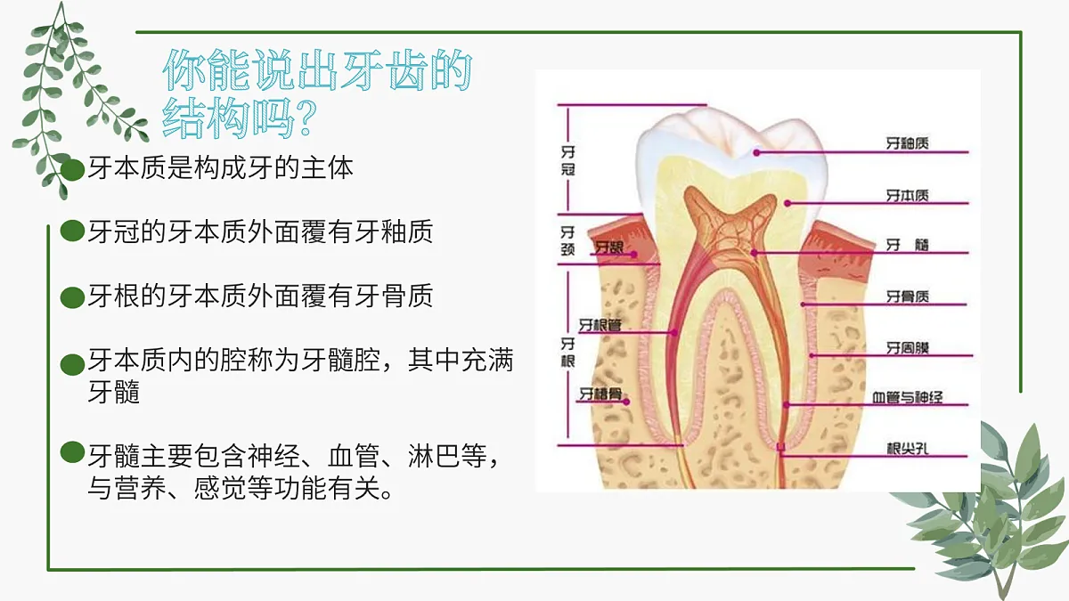 18163481第6页