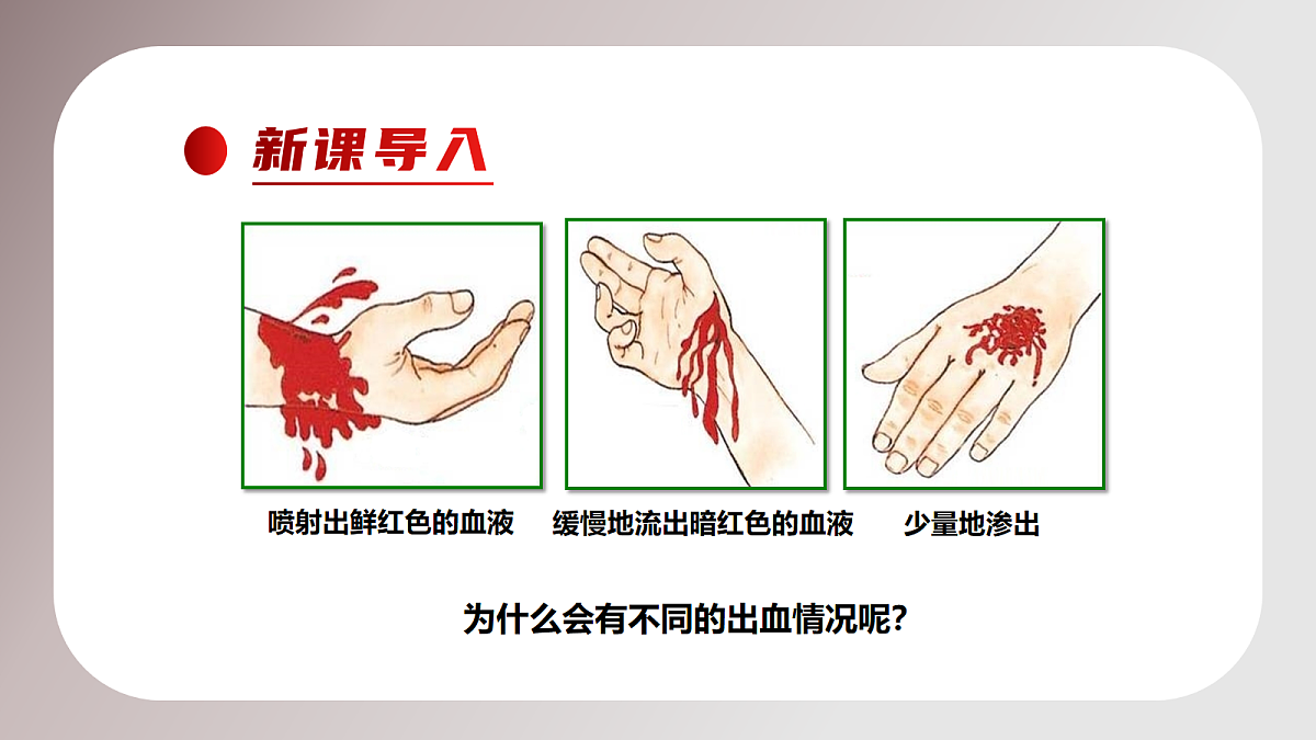 18163483第2页