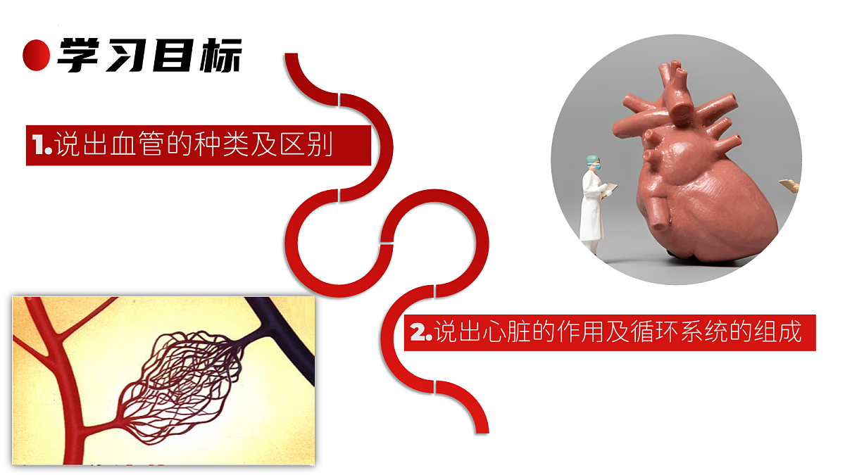 18163483第3页