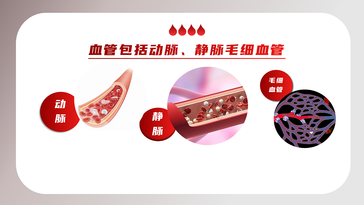 18163483第5页
