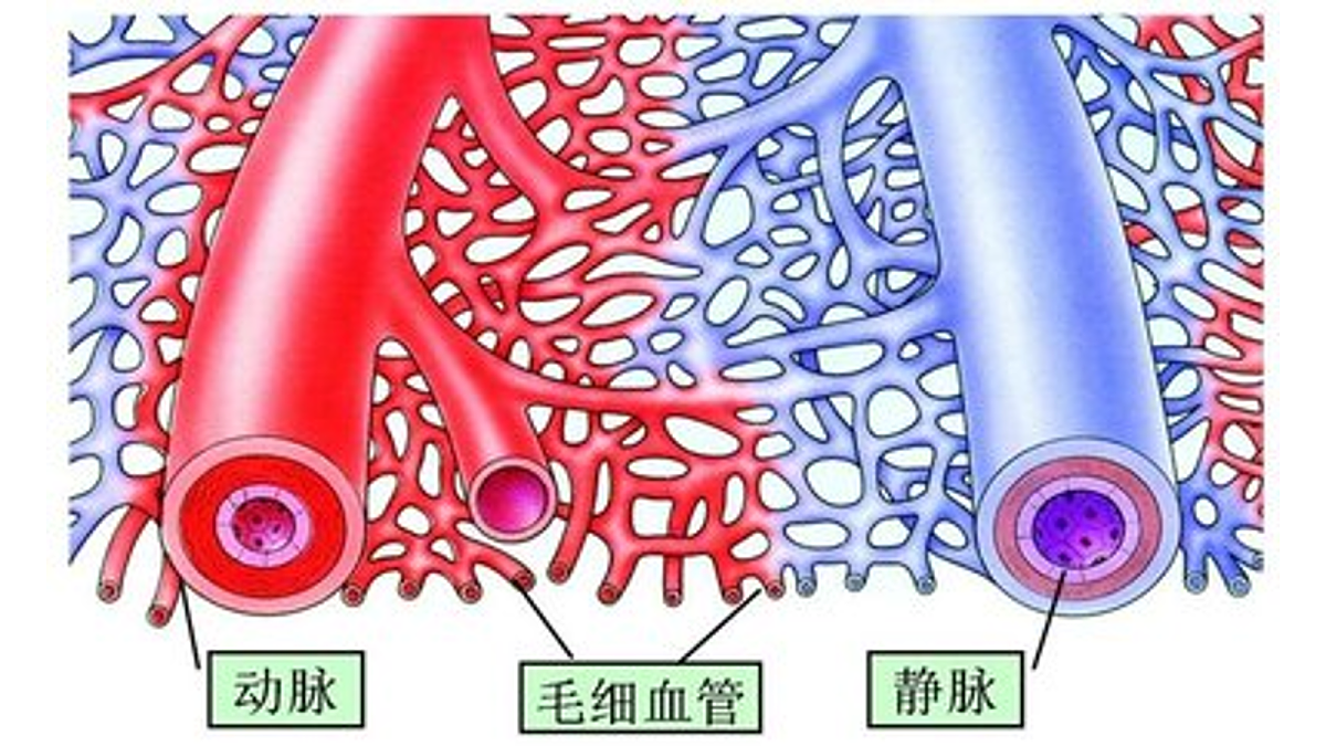 18163483第6页