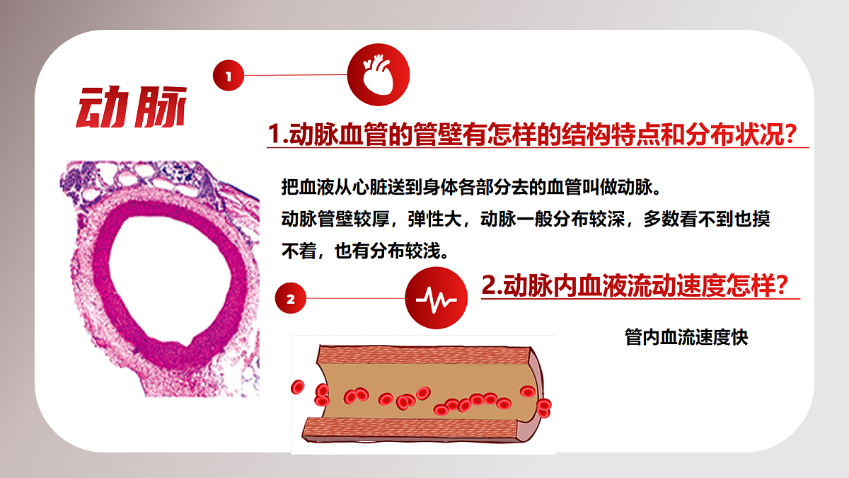 18163483第7页