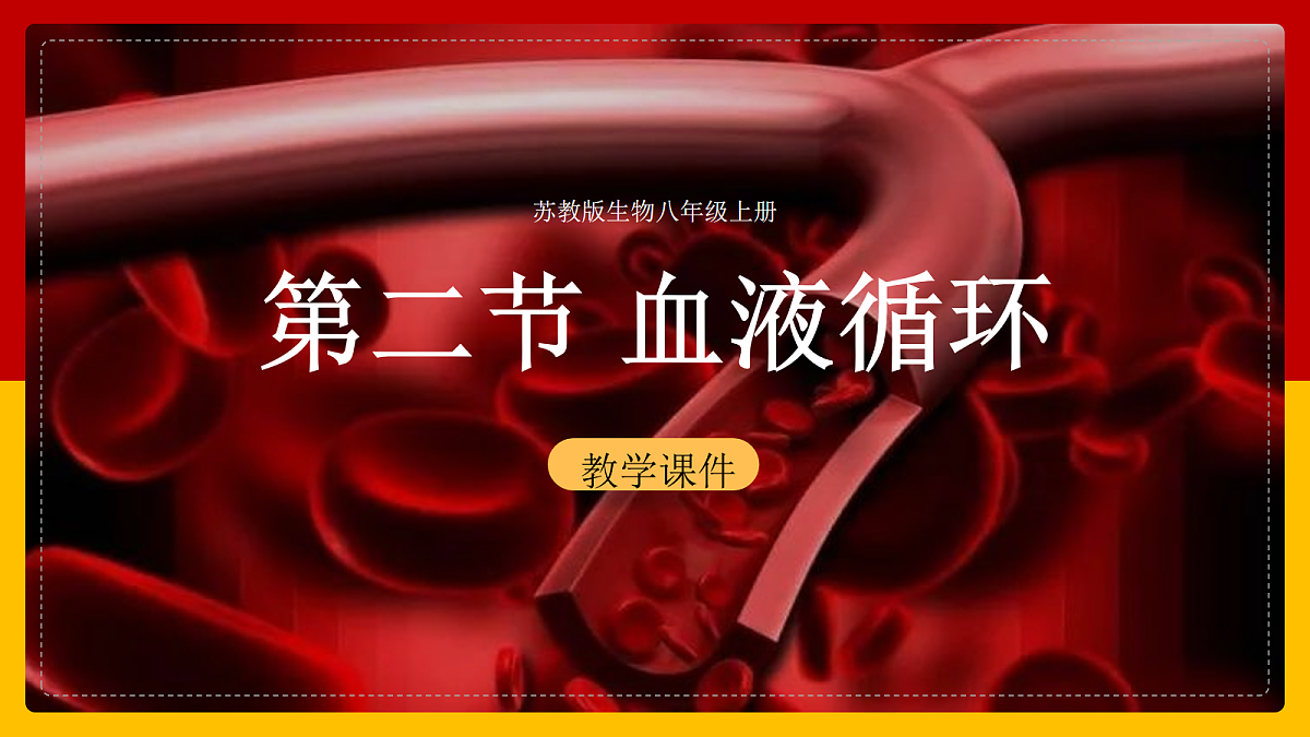 18163485第1页