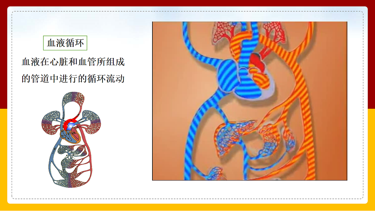 18163485第8页