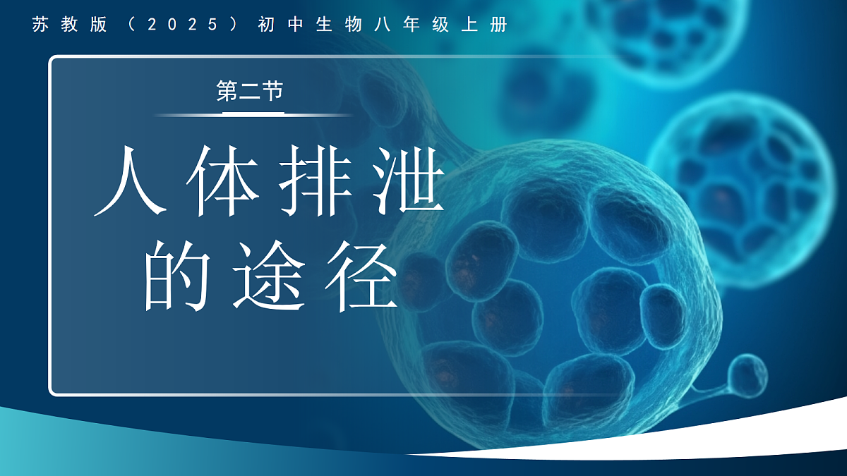 18163488第1页