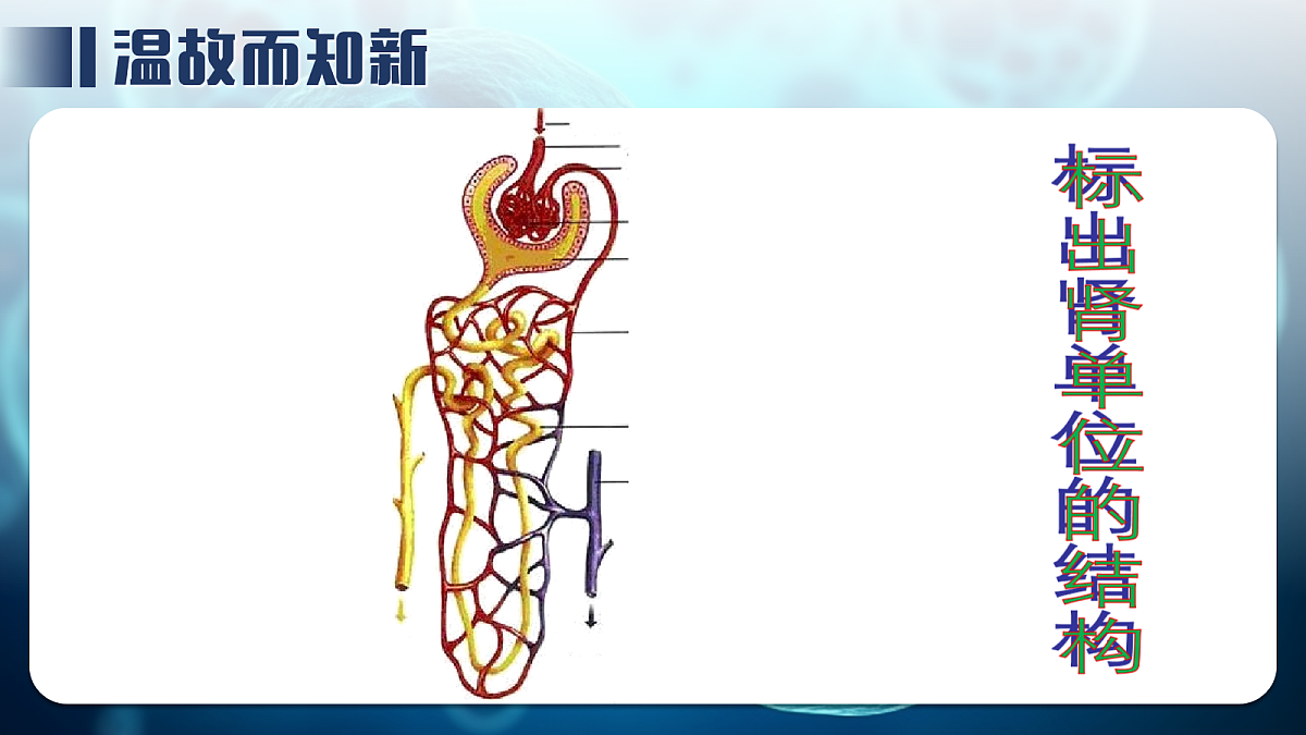 18163488第2页