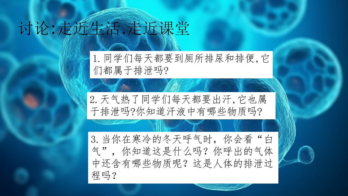 18163488第3页
