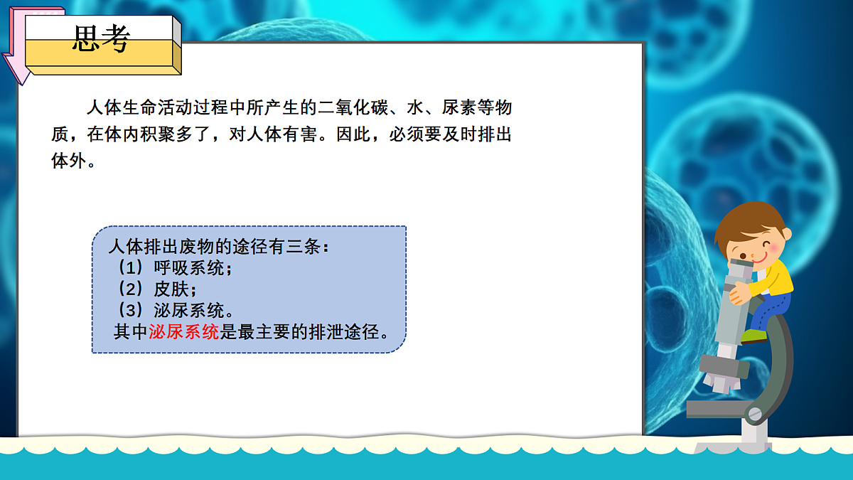 18163488第4页