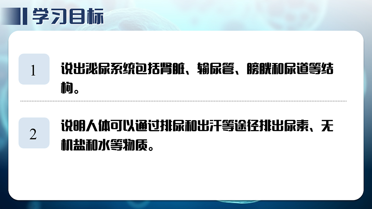18163488第5页