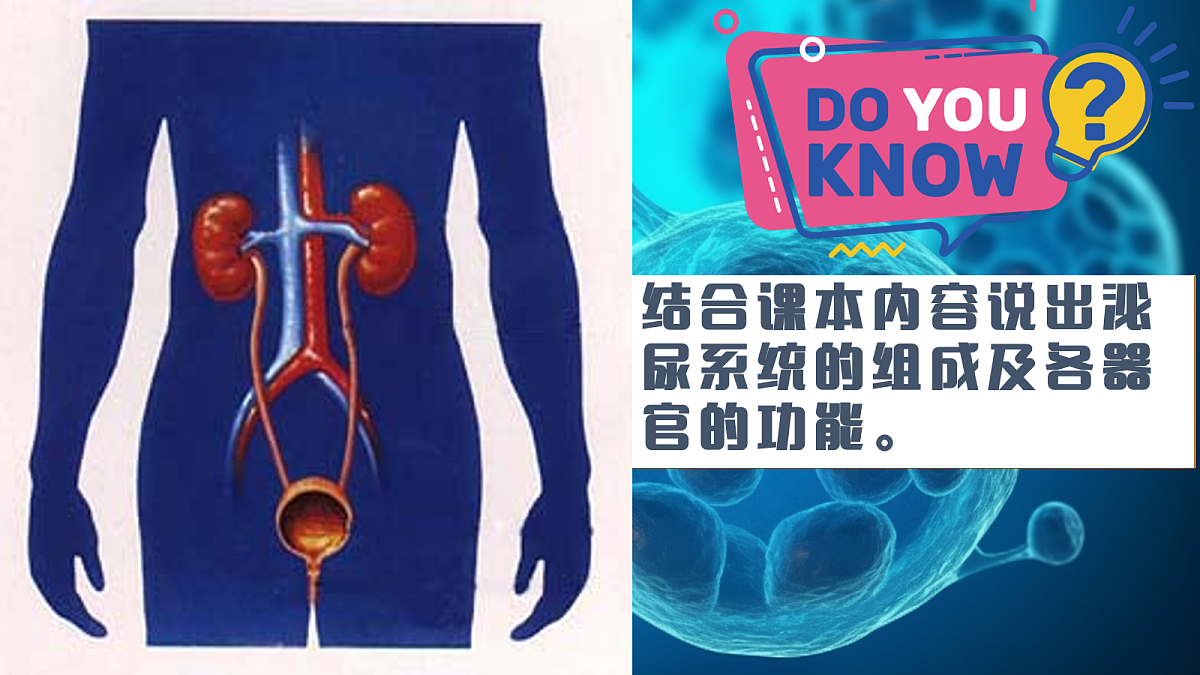 18163488第7页