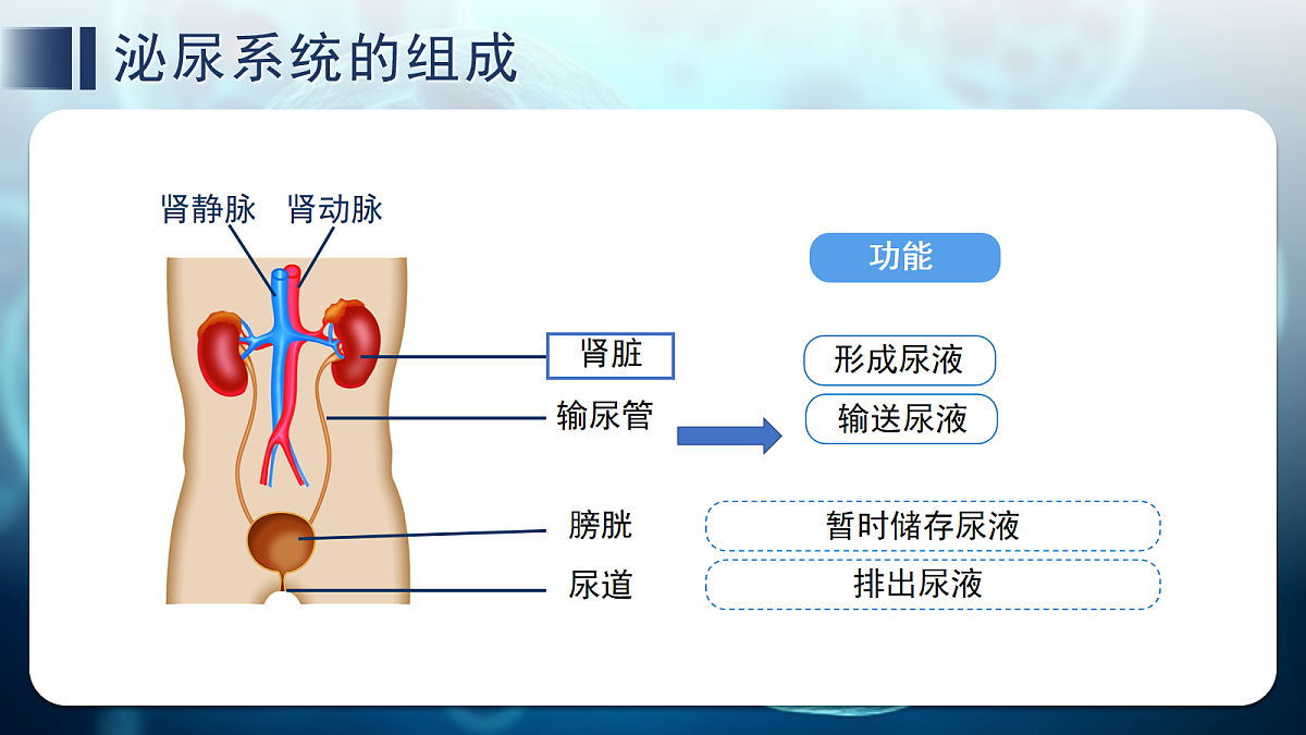 18163488第8页