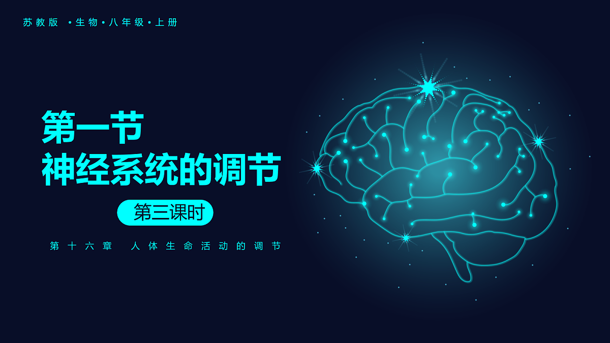 18163489第1页