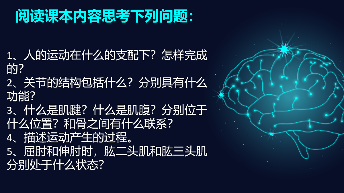 18163489第4页