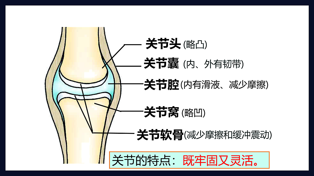 18163489第8页