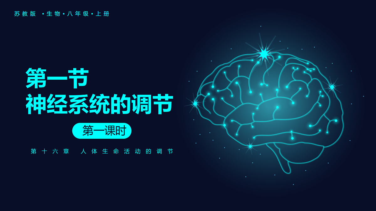 18163490第1页