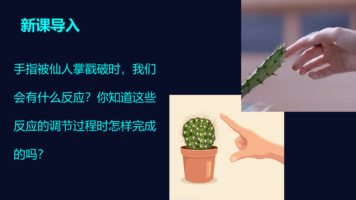 18163490第2页