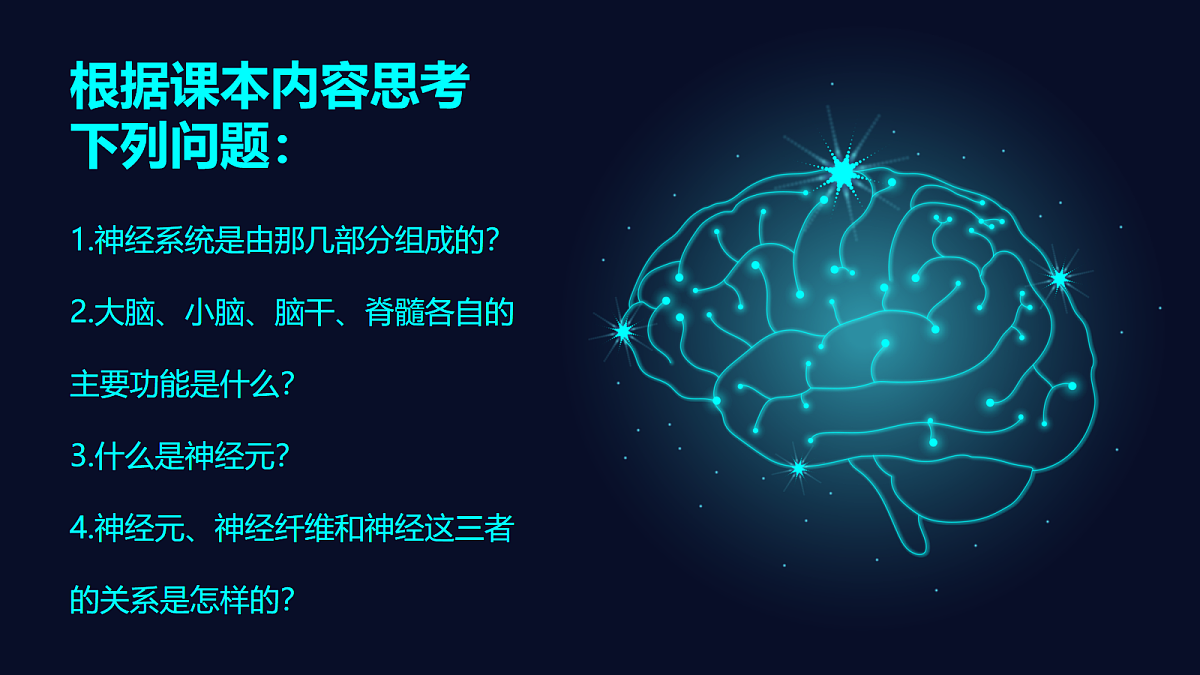 18163490第4页