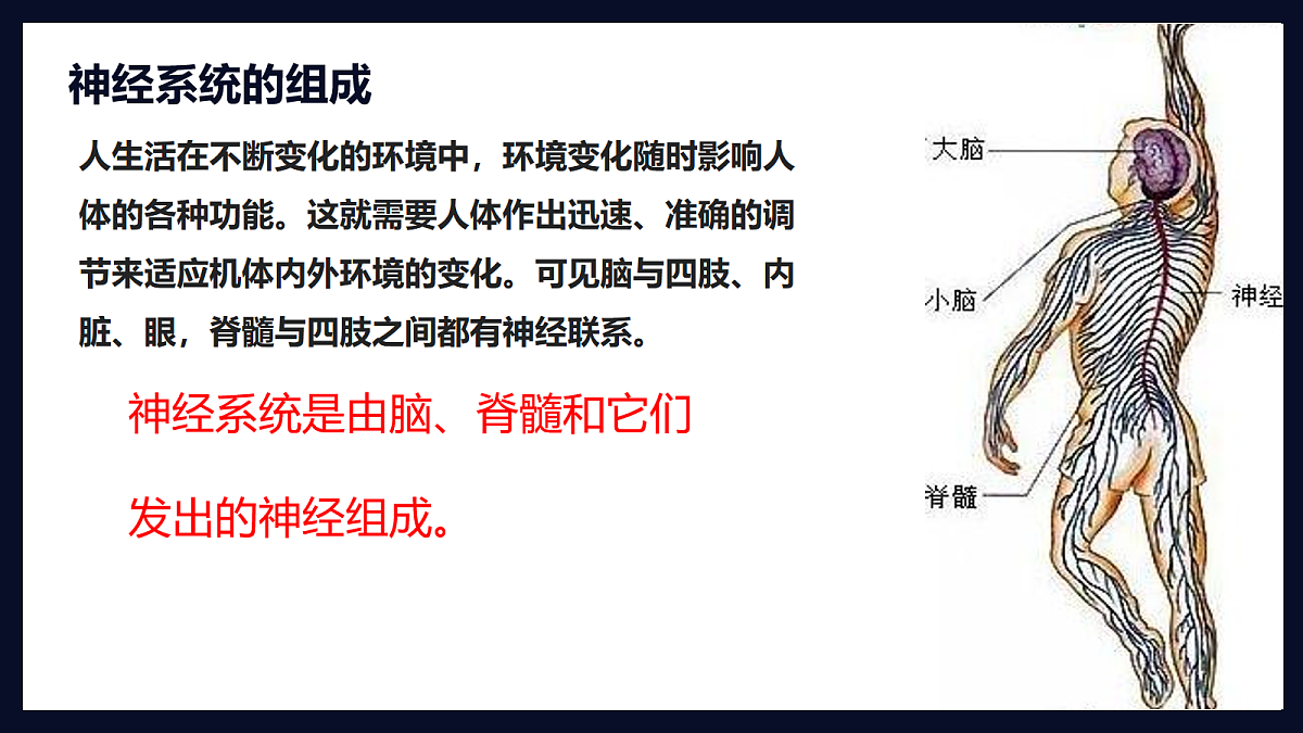 18163490第5页