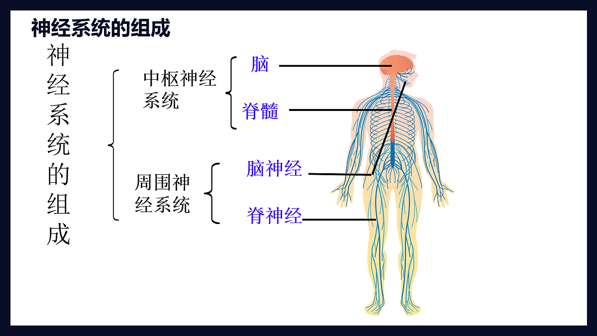 18163490第6页