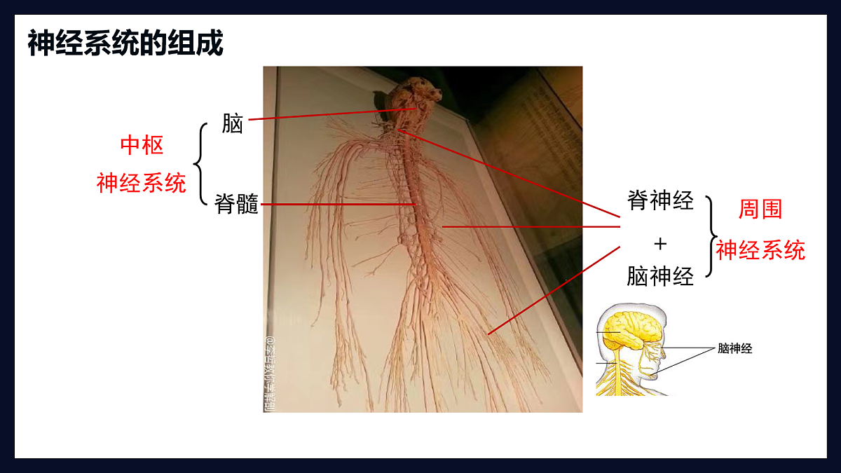 18163490第7页