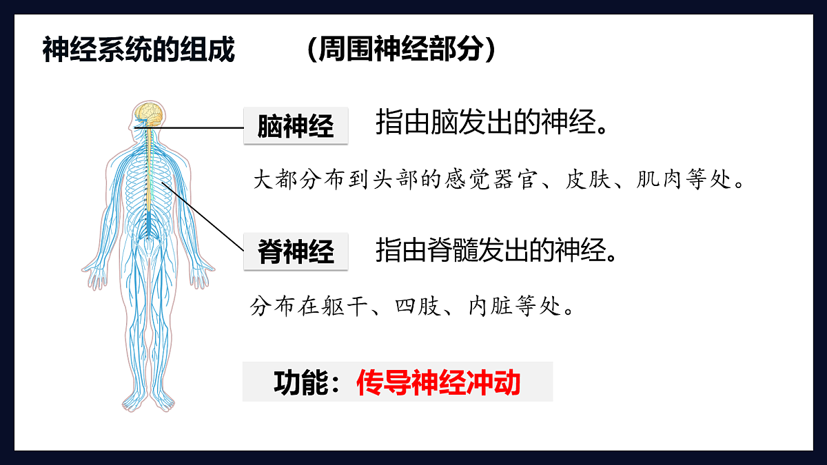 18163490第8页