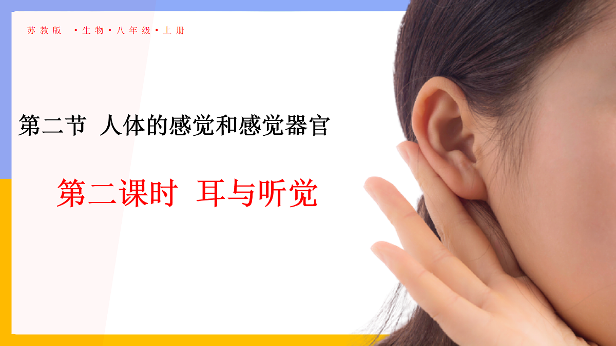 18163491第1页