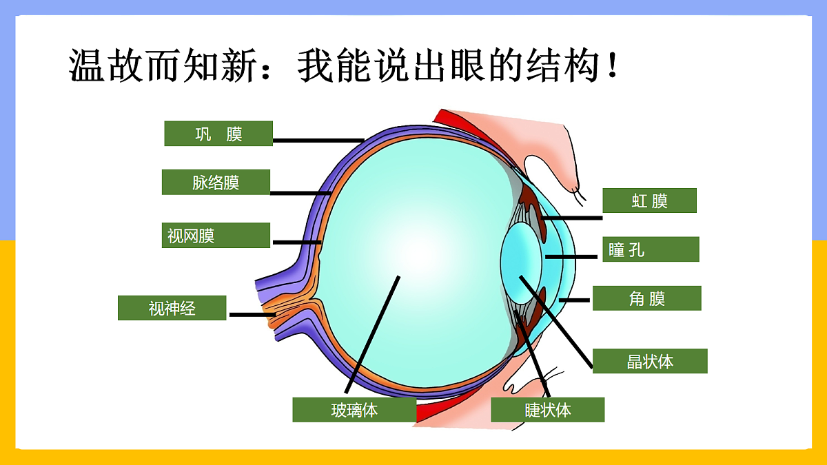 18163491第2页